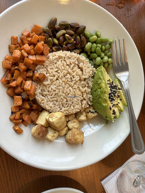 Vegan bowl 6.18.24  at Scargo Cafe in Dennis