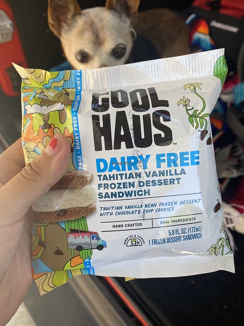 Cool Haus Vegan Vanilla Ice Cream Sandwich w/Frijol 🐕  at Whole Foods Market in San Mateo