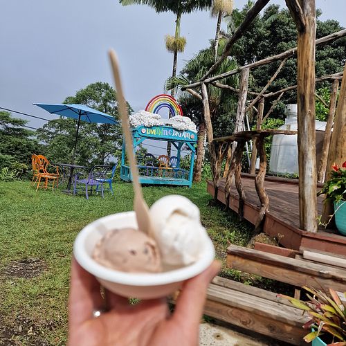  at Coconut Glen's in Haiku