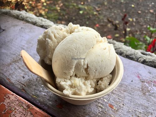 Yummy at Coconut Glen's in Haiku