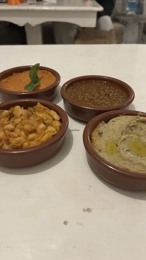   at World Storytelling Cafe in Marrakech