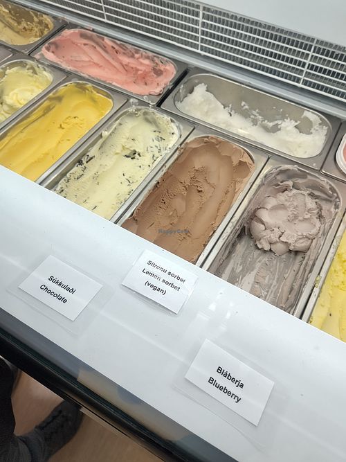 Vegan options at Skútaís - Farm Ice Cream in Skutustadjahreppur