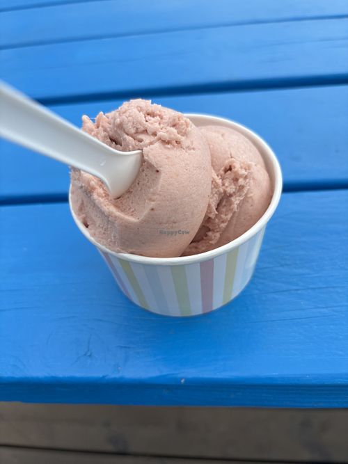 Strawberry rhubarb sorbett  at Skútaís - Farm Ice Cream in Skutustadjahreppur