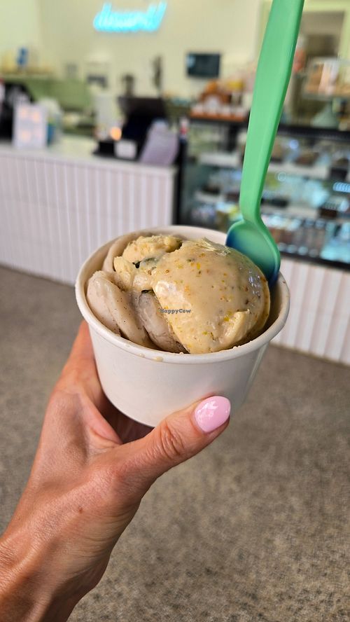Pistachio made from an almond base and vanilla made from a coconut base at Cotee River Creamery in New Port Richey