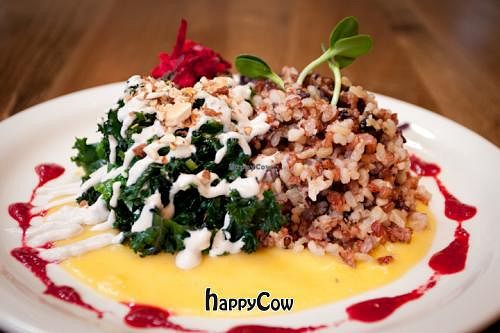 All of Casa at Casa de Luz - San Diego in San Diego