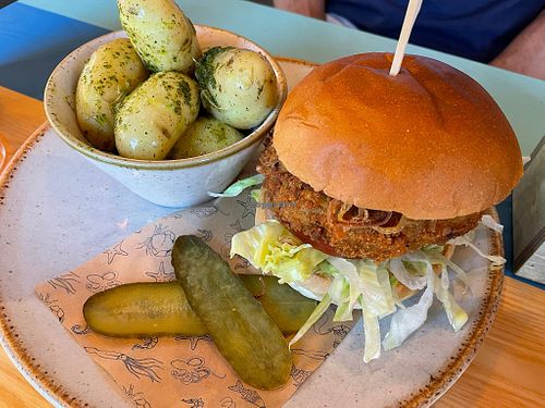 Lentil burger at The Sharksfin in Mevagissey