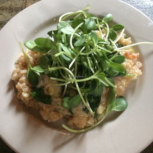 Vegan Risotto at Radial Cafe in Atlanta