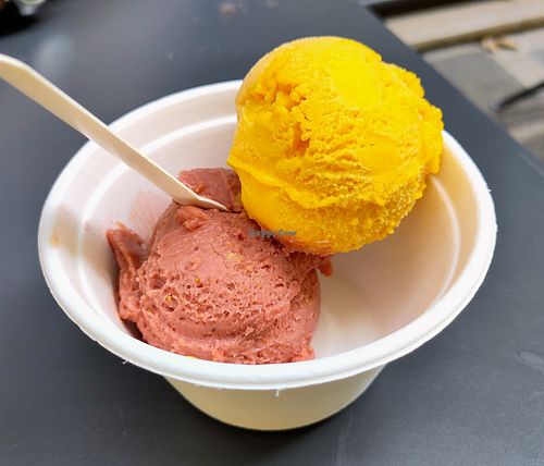 Fig + Mango (both vegan) at REŸS Glaces Eternelles in Paris