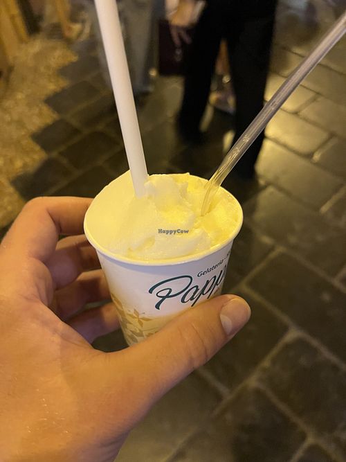   at Pappus Gelateria Artigianale in Noli