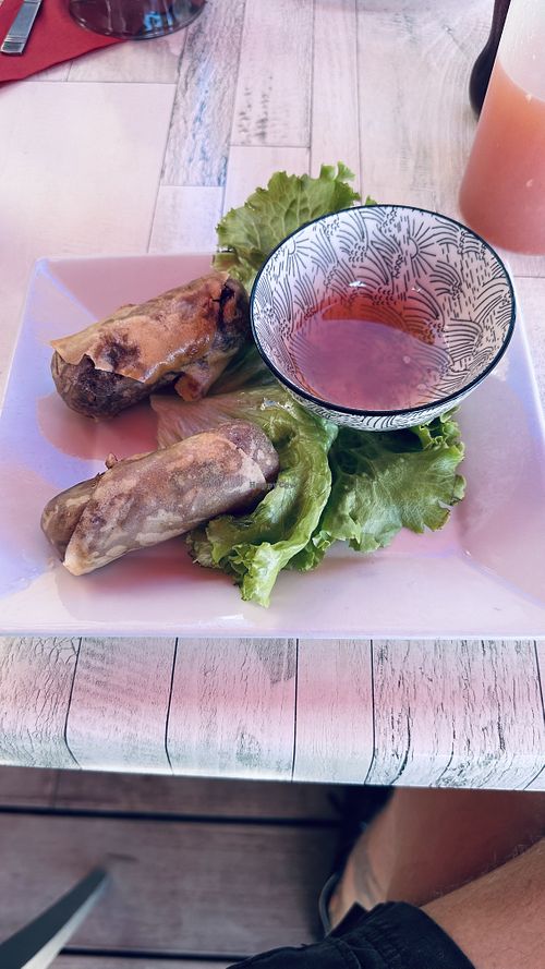 Vegan Nema  at Dim Sum in Frejus