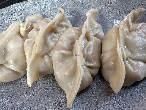 vegan, no garlic  at Dumpling N' Dips in New York City