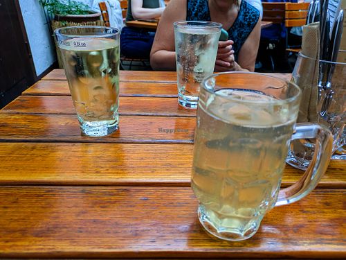 Drinks at Weinstube Eulenspiegel at Weinstube Eulenspiegel in Speyer