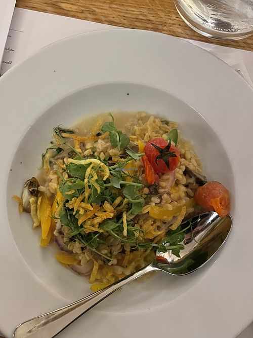 Zartweizenrisotto mit Frühlingsmorchel
und marinierter Brunnenkresse  at Der Steirer Graz - Restaurant & Weinshop in Graz