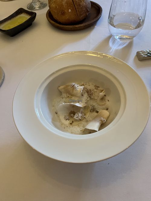 First course- a raw mushroom with some foamy stuff  at La Table de Montaigne in Bordeaux