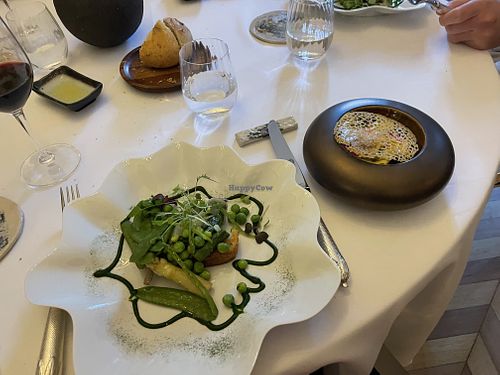 Main course-  a few green vegetables at La Table de Montaigne in Bordeaux