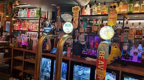 Serve hot drinks & fake bears too at Rabbit Food @ Meadows Tap in Edinburgh