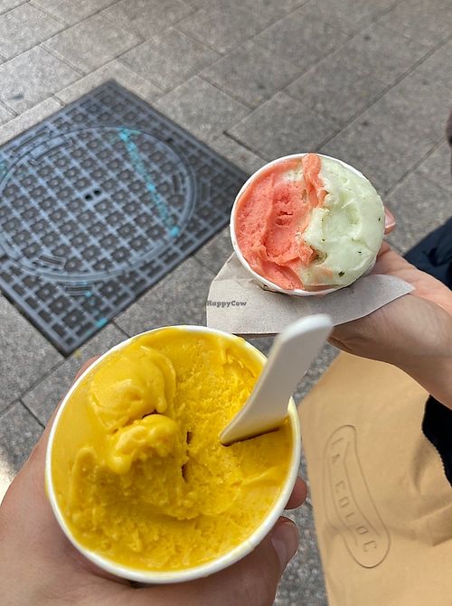   at Amorino in Angers