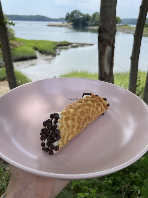 Vegan Cannoli!  at Salt and Pepper Social in Newcastle