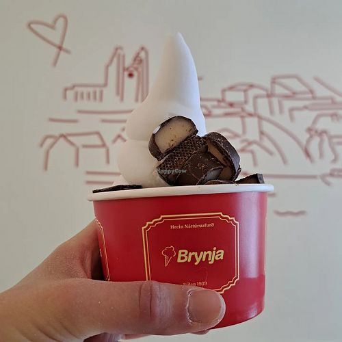 Vegan coconut ice cream with chocolate coated marzipan pieces at Brynja in Akureyri