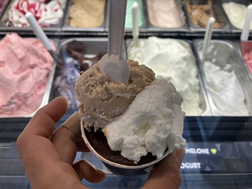 Hazelnut, lemon and dark chocolate 🌱  at Gelateria Dulcis in Fundo in Mandello Del Lario