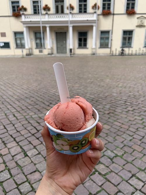   at Canalettini in Pirna