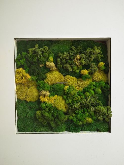 Nice green wall outside. at Oatime Coffee in Shanghai