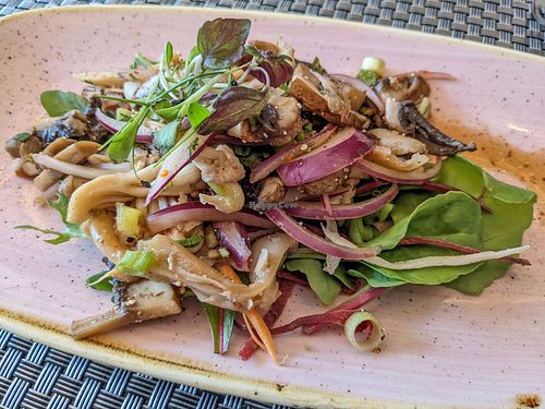 Mushroom larb (vegan) at Palm Pan Asia in Winchester