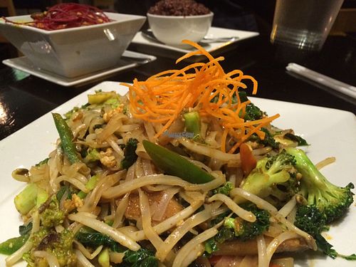 fusion noodles  at VeStation Urban Organic Kitchen in Sherman Oaks