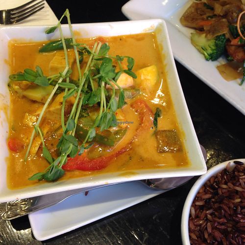 red curry at VeStation Urban Organic Kitchen in Sherman Oaks