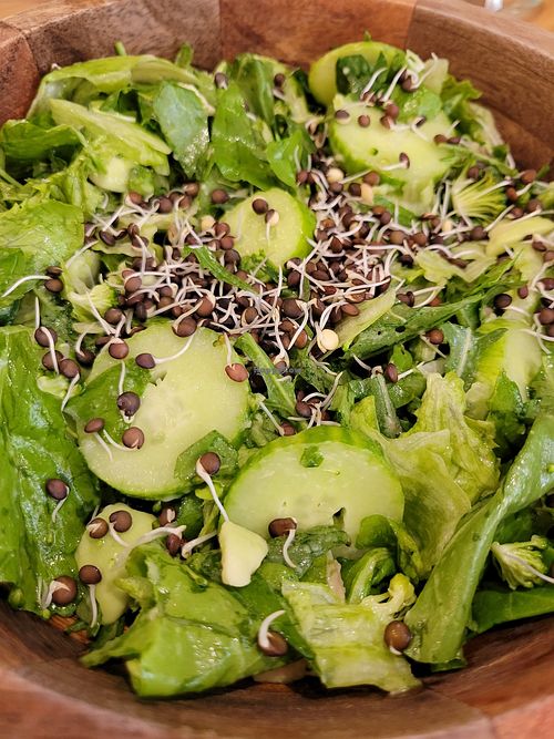 Salad with sprouted mung beans at UMMY - უმმი in Tbilisi