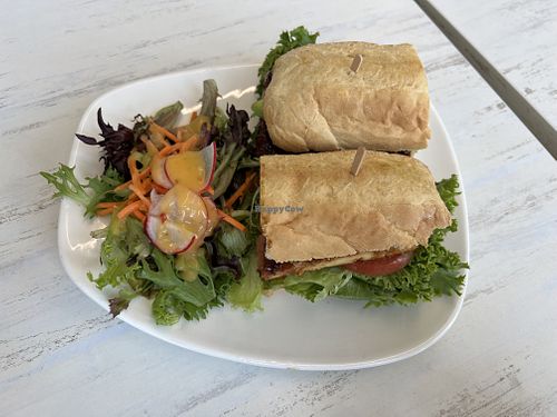 Sweet Sassy Molassy  at Strong Hearts in Buffalo