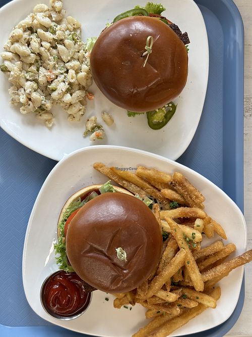   at Strong Hearts in Buffalo