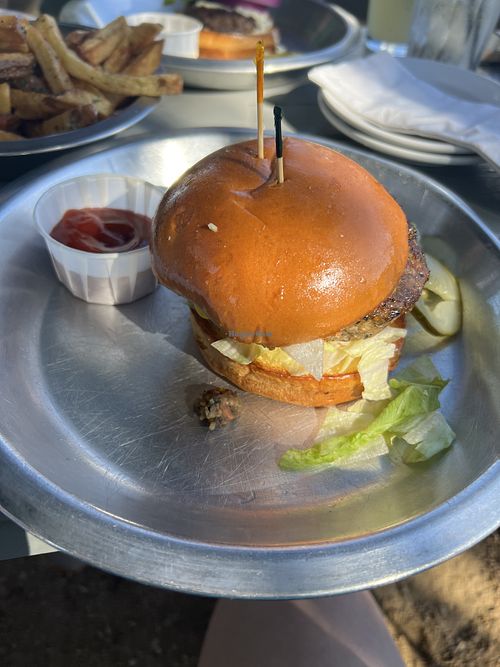 Veggie burger  at Rodeo Goat in Dallas