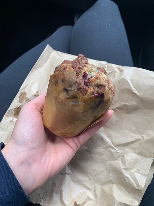 Vegan Blueberry Muffin   at Seven Districts Coffee in Lincoln