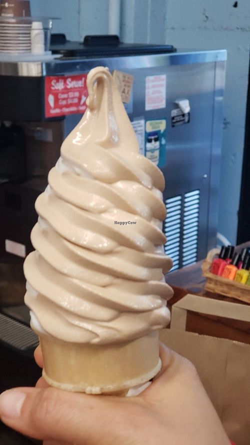 Chocolate vanilla swirl cone! at Food Fight Vegan Grocery - Stark in Portland