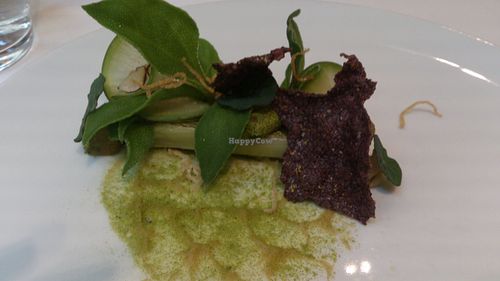 Vegan Black Salsify Dish at TIAN Restaurant in Vienna
