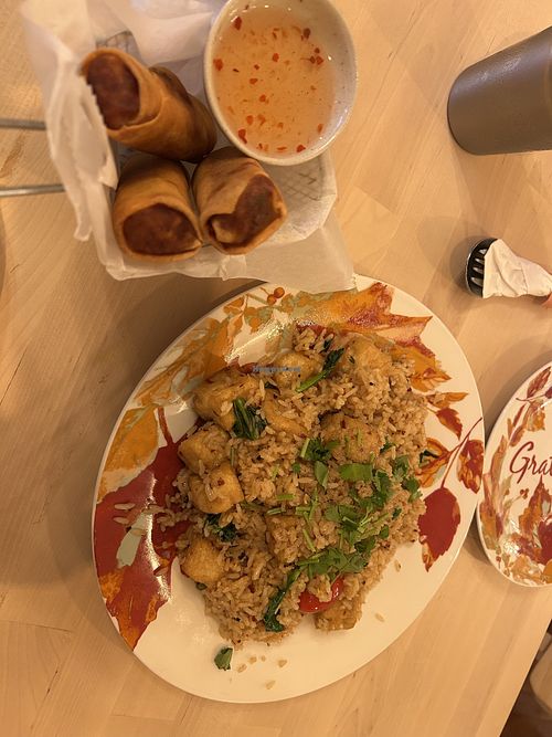 Spring rolls and tofu fried rice   at Took Took 98 in Pittsburgh
