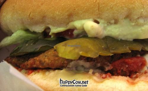 More veggie burger. at Falafel Veggie in Istanbul