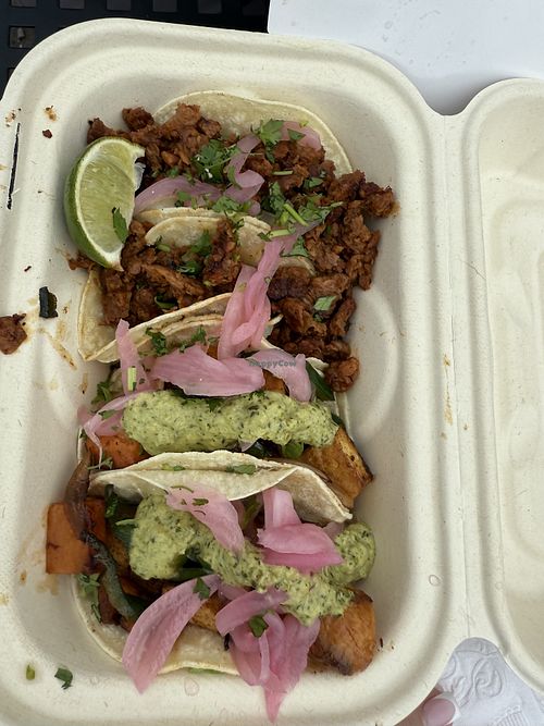   at Peppers in Skagway