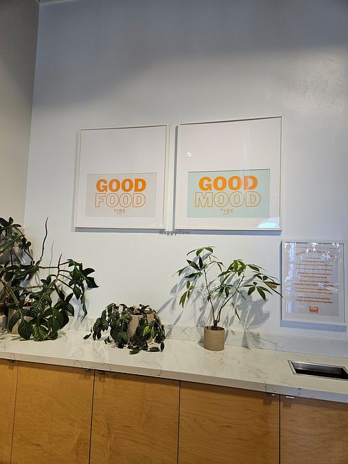  at Vibe Organic Kitchen & Juice in Costa Mesa