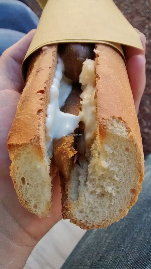 Hot dog at Vegan Come Koala in Pisa