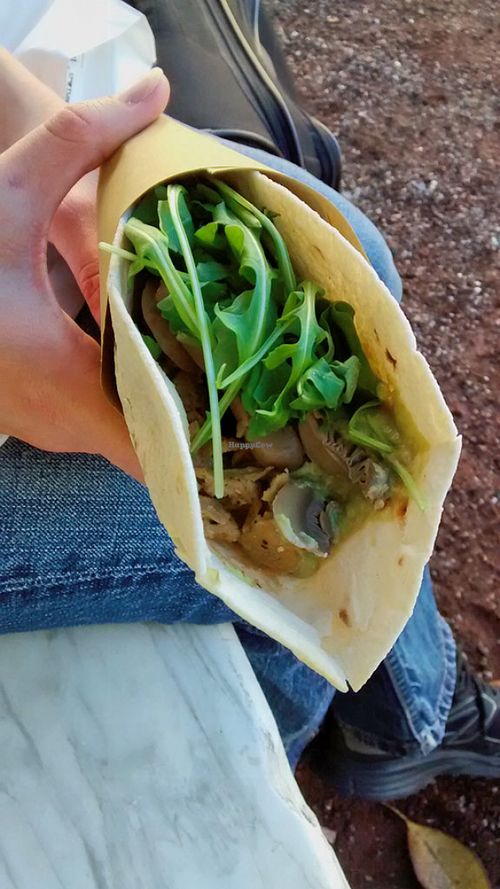 Vegetable and seitan wrap at Vegan Come Koala in Pisa