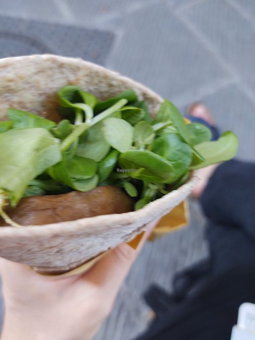 Seitan piadina at Vegan Come Koala in Pisa