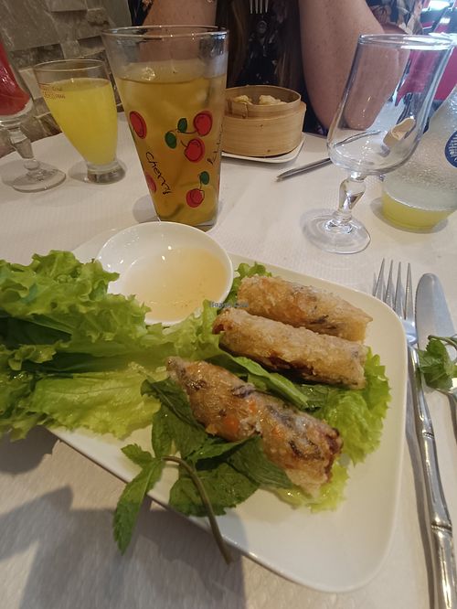 Nems vg at Restaurant Pho 86 in Gien