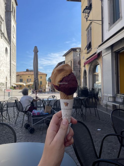 Blueberry and apricot-basil  at Gelateria Al Duomo in Cividale Del Friuli