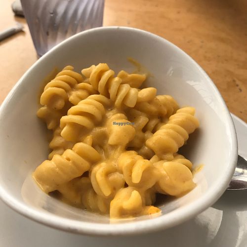 Side order of Mac and Cheeze at Native Foods in Costa Mesa