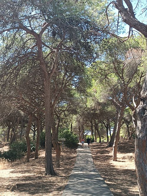  at Los Pinos in Rota