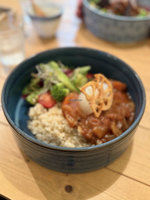 Curry Plate  at Cafe Salle a Manger in Nagaoka