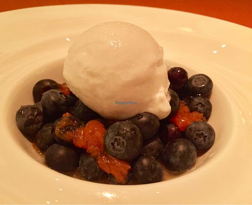 coconut gelato w/blueberries and grapefruit  at Wynn Hotel - Sinatra in Las Vegas
