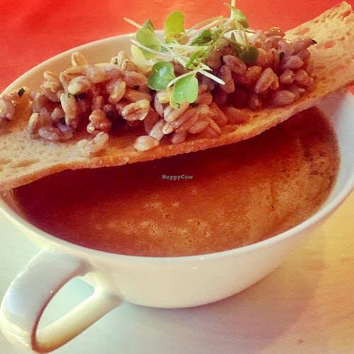 Zuppa at Wynn Hotel - Sinatra in Las Vegas